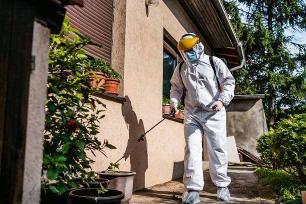 Best Mosquito Control Services  in Pukalani, HI