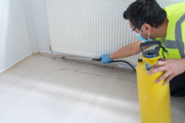 Best Ant Control Services  in Pukalani, HI